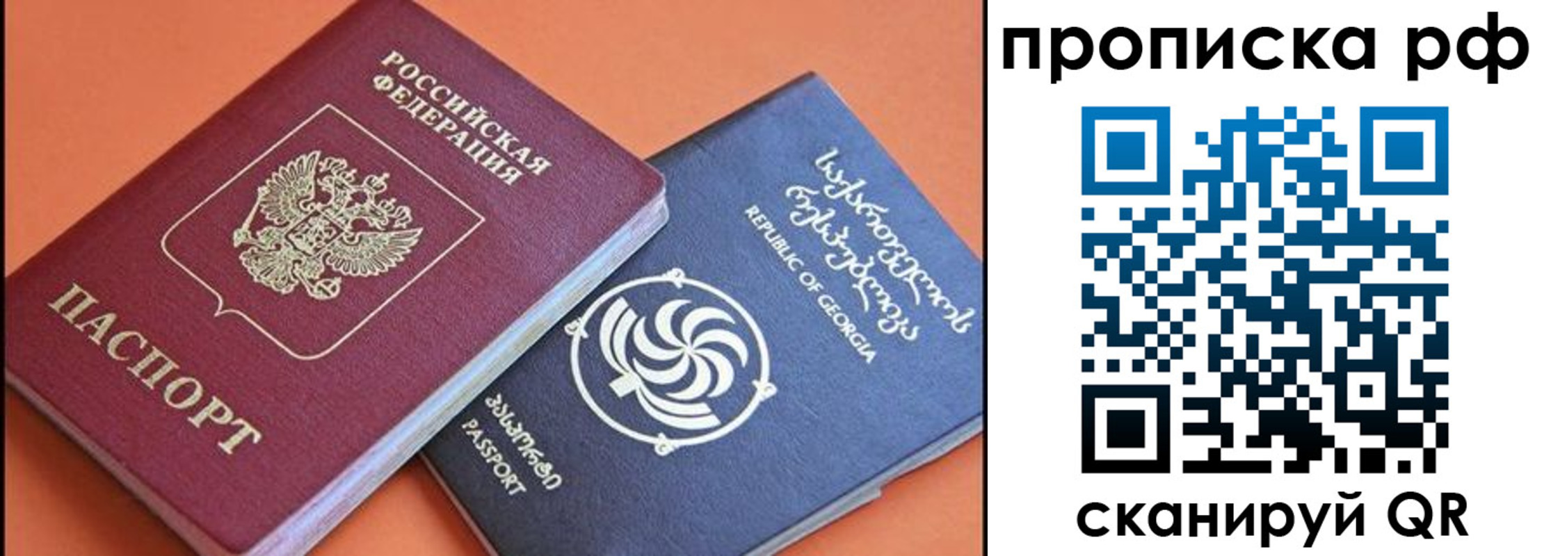 прописка поиск в Борзе